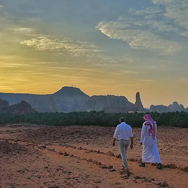 Our Vision & Purpose