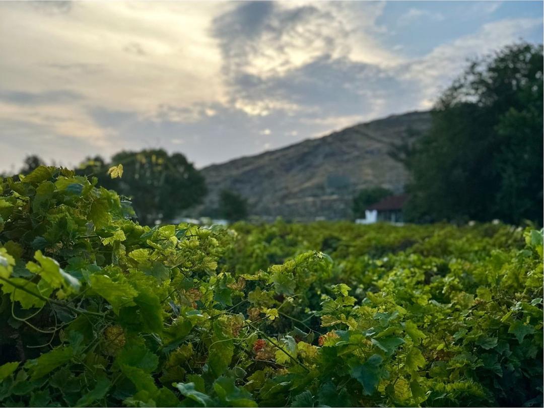 Explore the artistic heritage of Abha