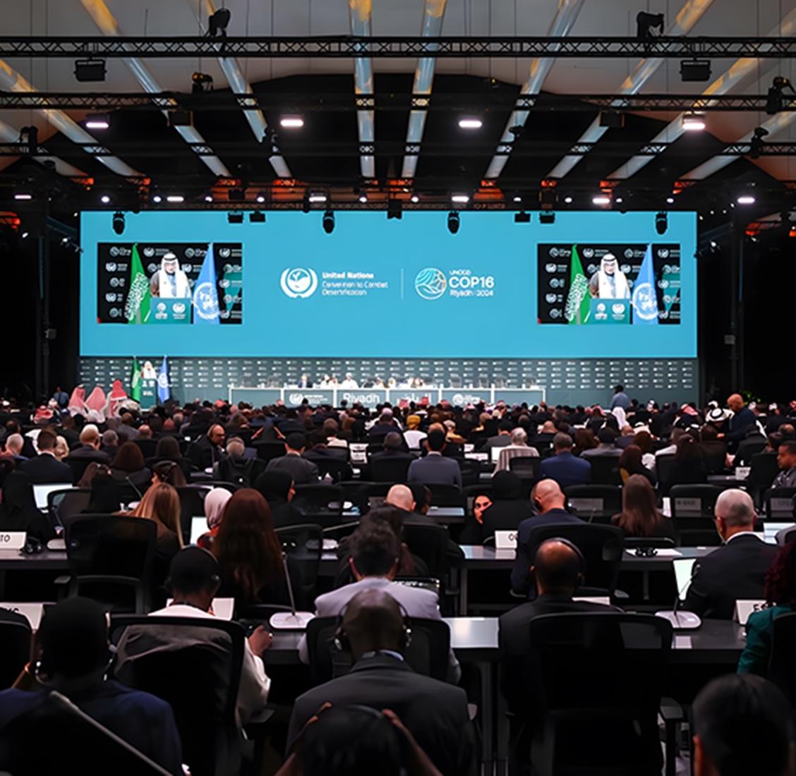 COP 16 United Nations