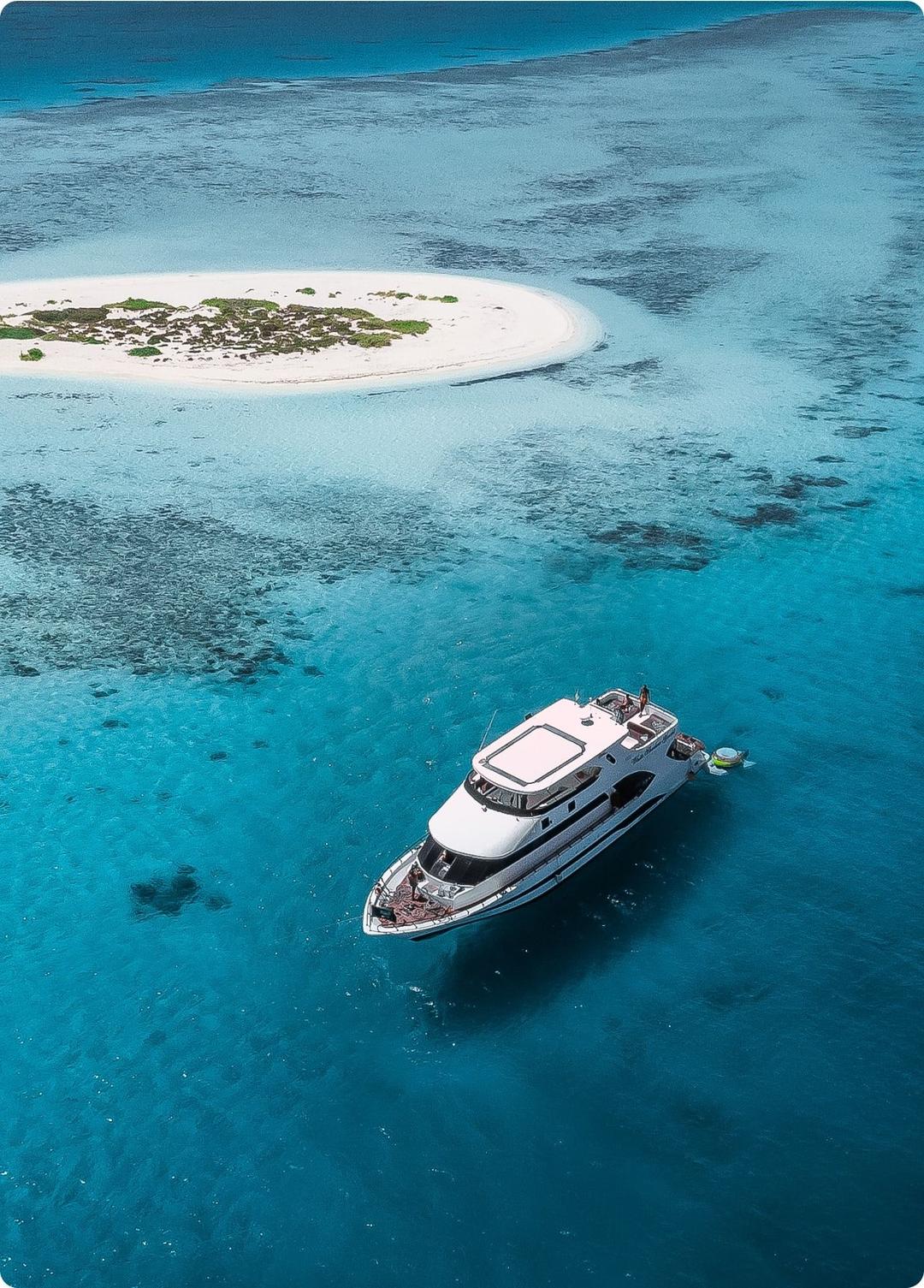 Homepage [discoversaudi.sa] 